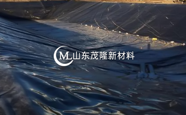 土工膜產(chǎn)品演示圖2