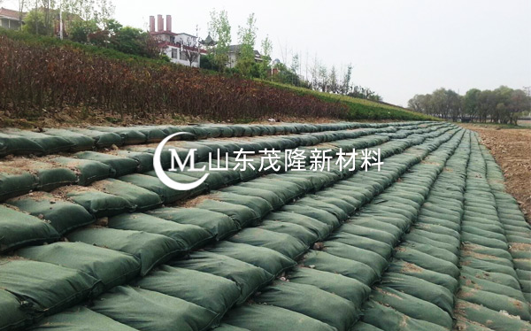 生態(tài)袋/土工布袋 第2張