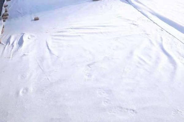 揭秘土工布：它到底有毒嗎？  第1張